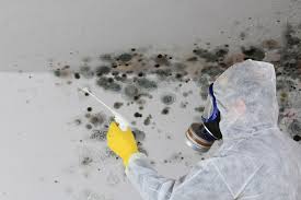 Professional Mold Inspection in Wyandanch, NY